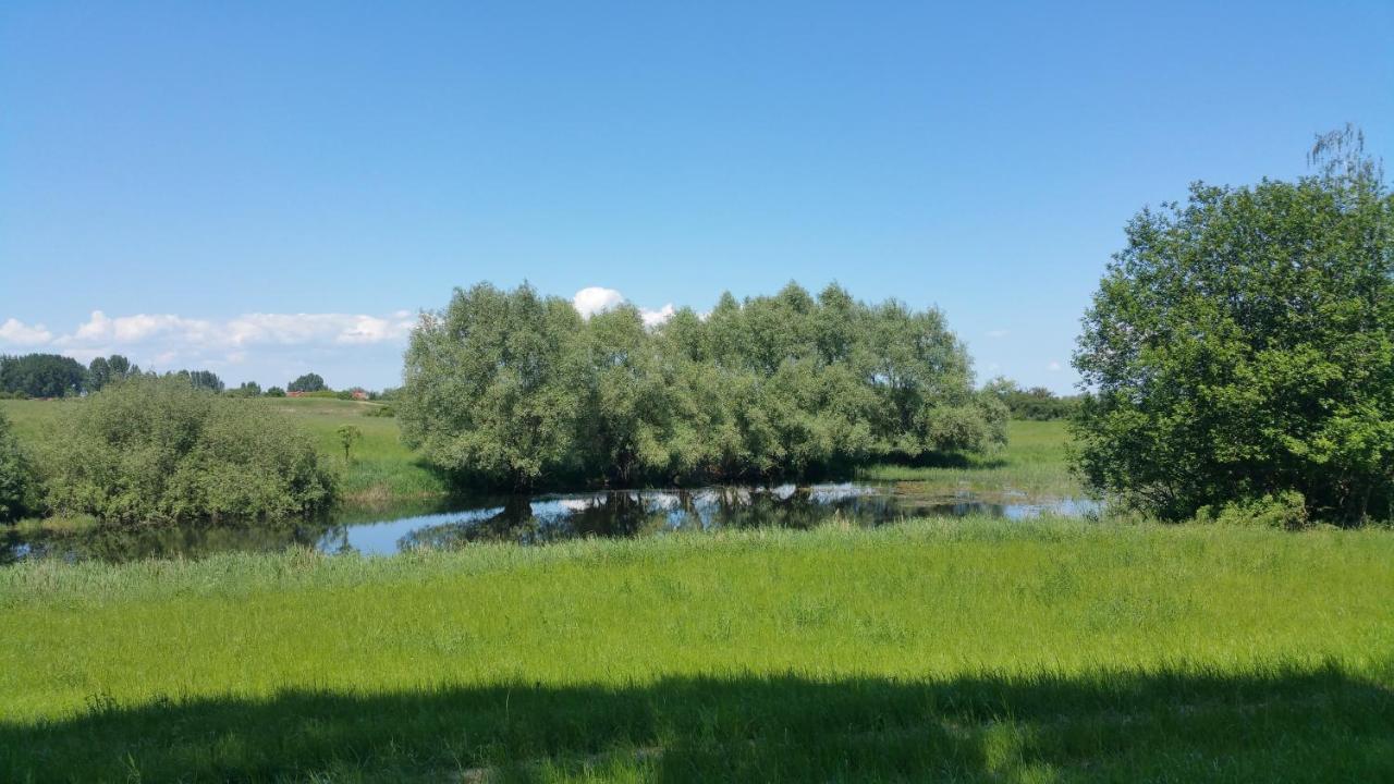 Haus An Der Pferdekoppel Am Blankenburger See Blankenburg  외부 사진