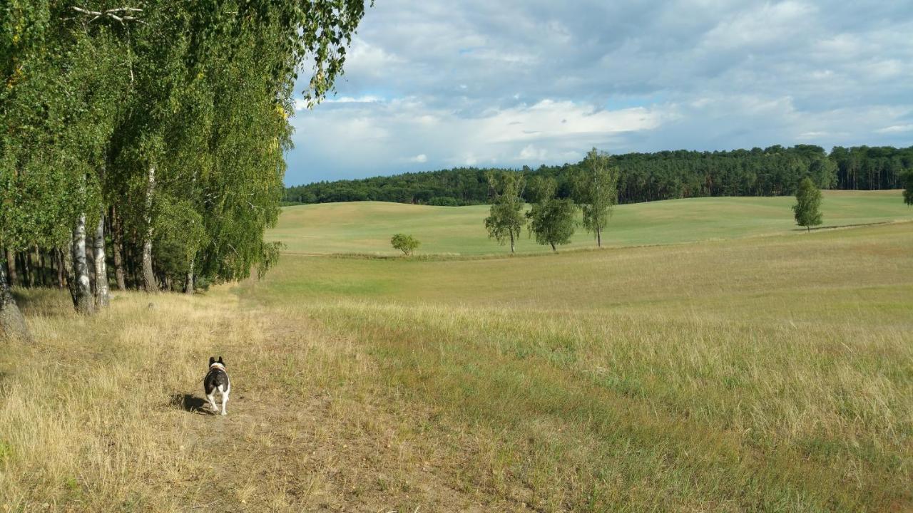 Haus An Der Pferdekoppel Am Blankenburger See Blankenburg  외부 사진